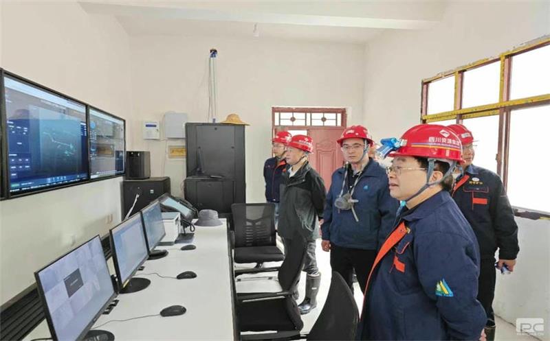 集团领导到青羊矿业调研