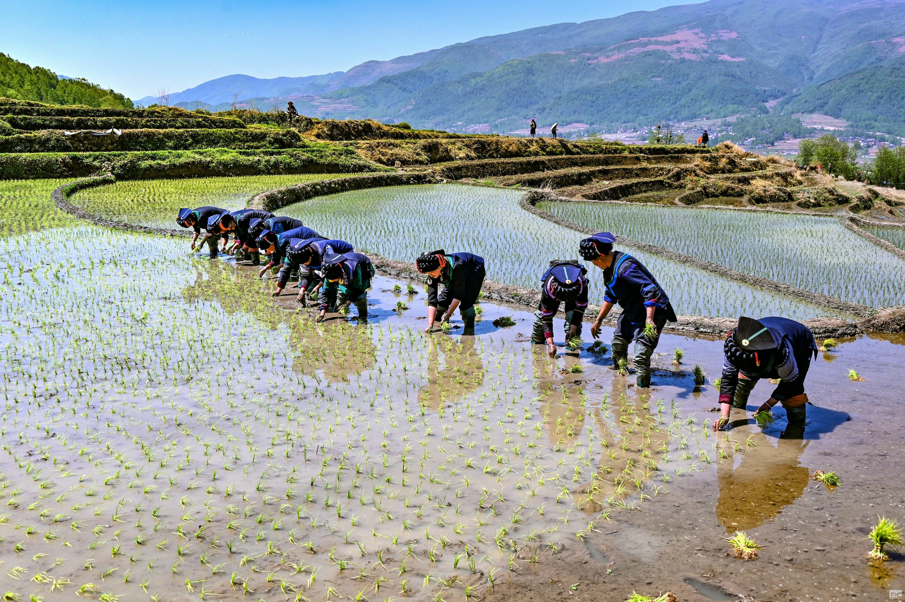 安博电竞·(anbo)官方网站