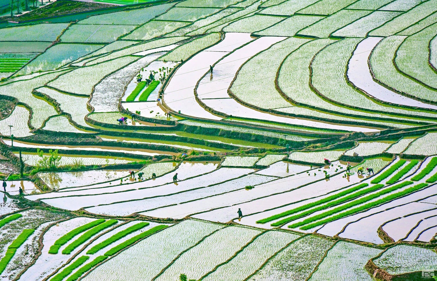 安博电竞·(anbo)官方网站