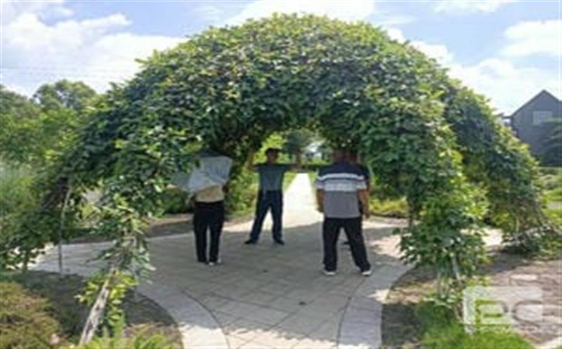 产业帮扶|华锋钻探驻村干部组织村组班子及致富带头人外出学习考察  助力产业可持续发展