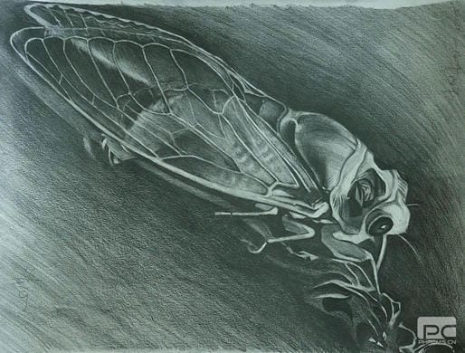 安博电竞·(anbo)官方网站