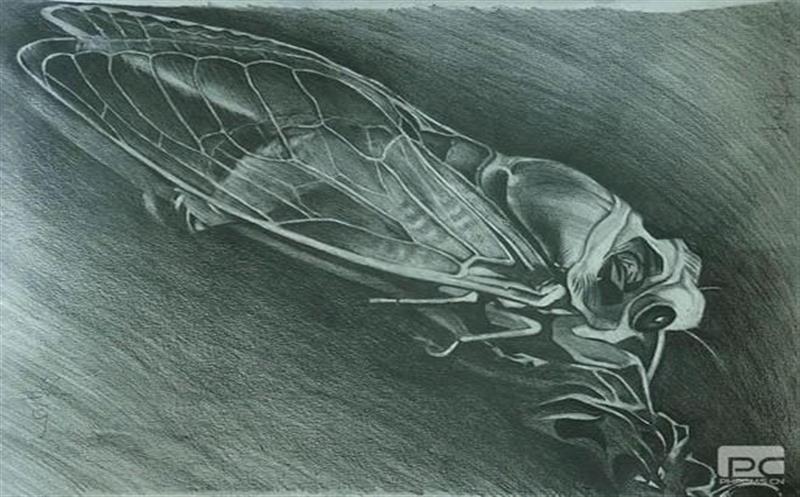 喜讯！区调队书画作品在全省自然安博电竞系统首届文化节获奖