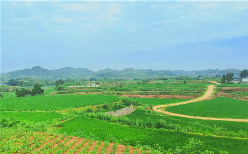 筑牢防汛减灾和安全生产“双防线”