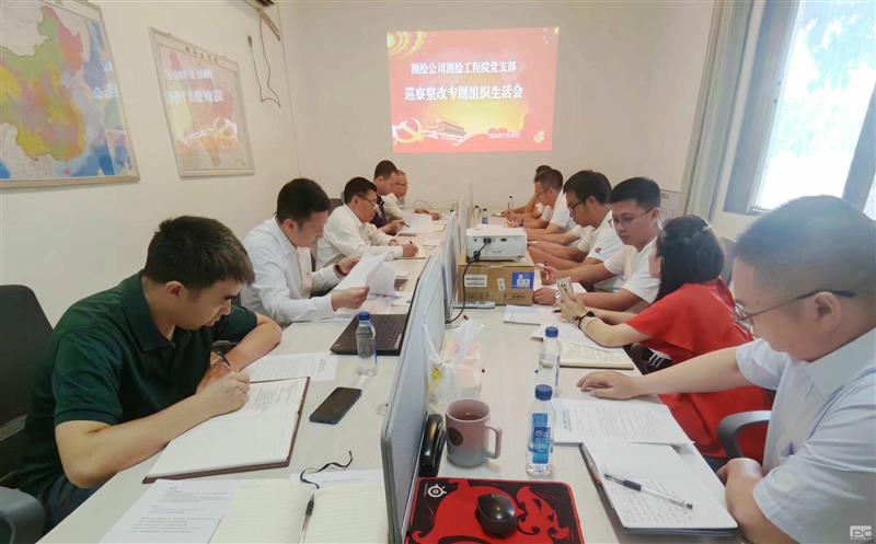 测绘公司测绘工程院党支部召开巡察整改专题组织生活会