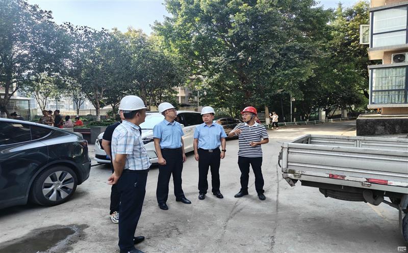 集团领导赴金？？？？？？蟛卦址乐蜗钅课课室幌咴惫げ⒔邪踩觳