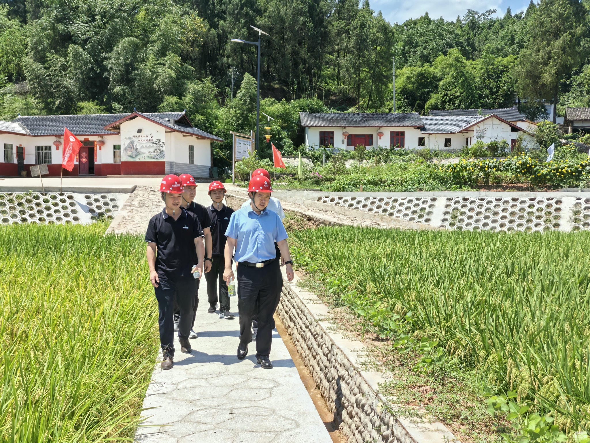 安博电竞·(anbo)官方网站