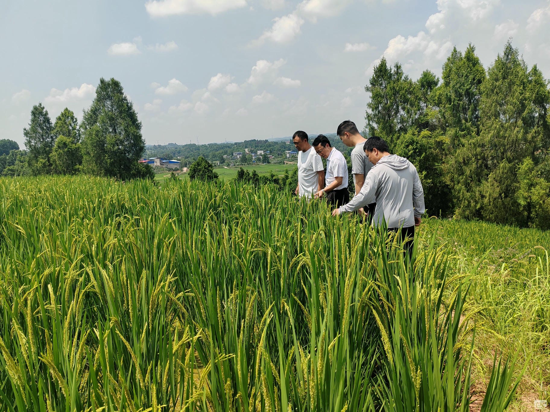 安博电竞·(anbo)官方网站