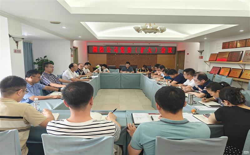 测绘公司召开党委扩大会议安排部署巡察整改相关工作