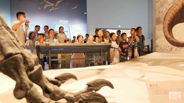 安博电竞·(anbo)官方网站