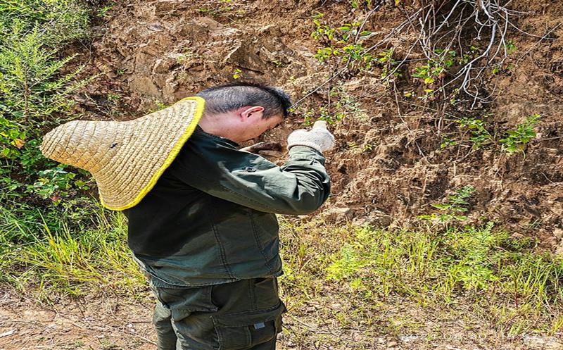 直面“烤”验的自然安博电竞人