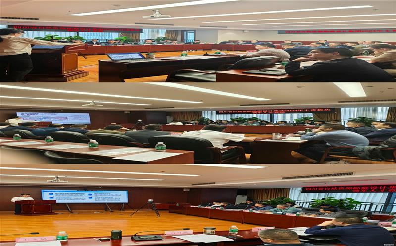 以“竞”促进|集团公司召开2024年度主责主业板块领军人才竞聘大会