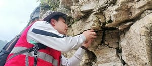 安博电竞·(anbo)官方网站