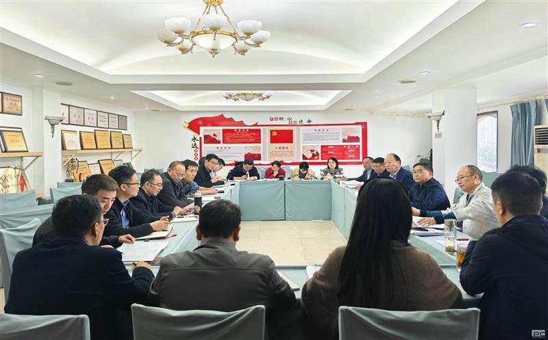 学理论  悟思想  见行动——测绘公司召开党委理论学习中心组学习（扩大）会