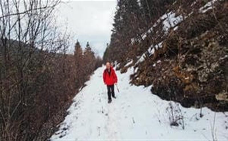 捷报频传，，，，，，区调队再中标凉山州地勘基金项目