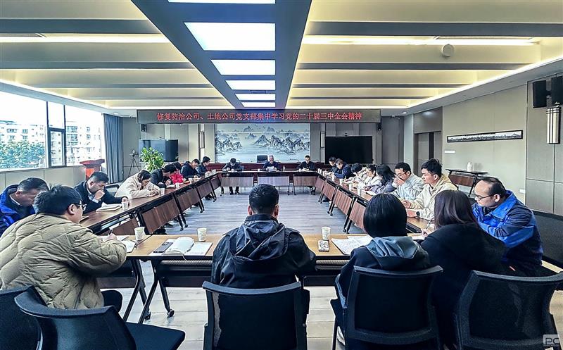 攀西公司基层党组织开展学习党的二十届三中全会精神联学活动 